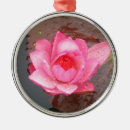 Recherche de nénuphar ornements Rose