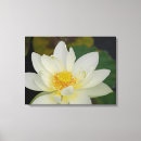 Zoek naar lotus kunst Boeddhistisch