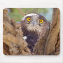 Recherche de gallos tapis souris Image couleur