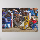 Recherche de cheval occidental posters Pour eux