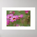 Zoek naar druppels posters Bloem