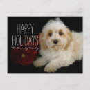 Recherche de animale noël cartes Horizontal