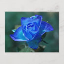 Zoek naar royal baby briefkaarten Blauw