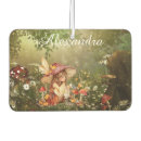 Recherche de fée voiture accessoires Papillon
