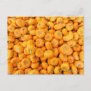 Zoek naar harvest briefkaarten Voedsel