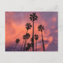 Recherche de palmiers cartes postales Paysage