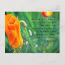 Recherche de poppy cartes postales Poppies