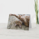 Zoek naar oranje gestreepte kat kaarten Sinaasappel