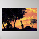 Zoek naar afrikaanse zonsondergang posters Zonnebank