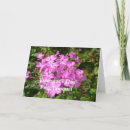 Recherche de salutation de valentine vœux cartes Pour elle