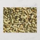 Recherche de légumineuse cartes postales Arachide