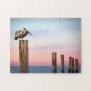 Recherche de pelican puzzles Plage