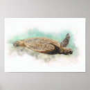 Recherche de tortue hawaïenne art Tortue de mer