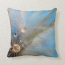 Recherche de de pissenlit coussins Botanique