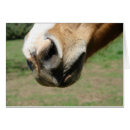 Recherche de museau cartes postales Nez