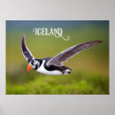 Zoek naar ijsland posters Reis