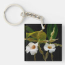 Recherche de mariages Fleurs blanches