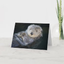 Zoek naar zee otters kaarten Wilde dieren