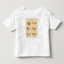 Recherche de proportions tshirts Atlas