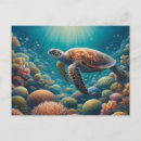 Recherche de mer de corail cartes postales Tortue