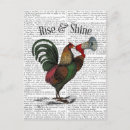 Recherche de cartes postales Coq