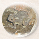 Recherche de crapaud dessous de verres Animal