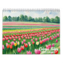 Zoek naar tulpen kalenders Kleurrijk