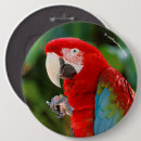 Recherche de macaw badges Nature