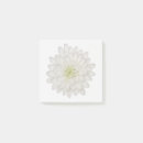Recherche de chrysanthème posters Fleur de chrysanthème