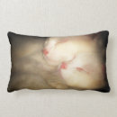 Recherche de somnolent coussins Amusement