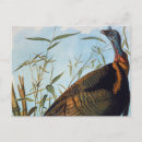 Recherche de john james audubon cartes postales Granger