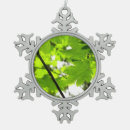 Recherche de érable ornements Arbres