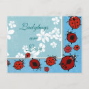 Recherche de coccinelle rouge cartes postales Coccinelles
