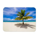 Recherche de polynesie magnets Plage tropicale