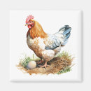 Recherche de poulet coq magnets Animal de ferme