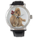 Recherche de labrador montres Animaux domestiques