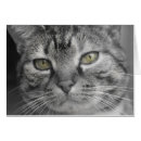 Recherche de yeux tigre cartes postales Félin