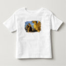 Recherche de chimères tshirts Pierre