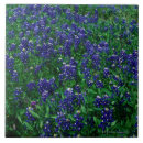 Recherche de plein cadre carreaux Abondance