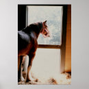 Recherche de geldings posters Équine