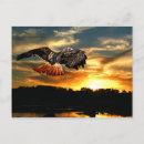 Recherche de oiseau libre cartes postales Vol