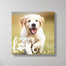 Recherche de amoureux des chiens art Animal de compagnie
