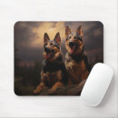 Recherche de alsacien tapis souris Chiot