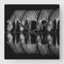 Recherche de zèbre horloges Faune