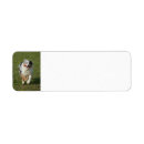 Zoek naar miniatuur etiketten Puppy