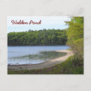 Recherche de thoreau cartes postales Étang