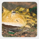 Recherche de cornue autocollants Animal