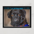 Recherche de canines cartes postales Chien