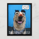 Recherche de labrador drôle cartes postales Labo jaune