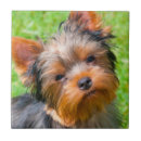 Zoek naar nieuwsgierig tegels Zwart